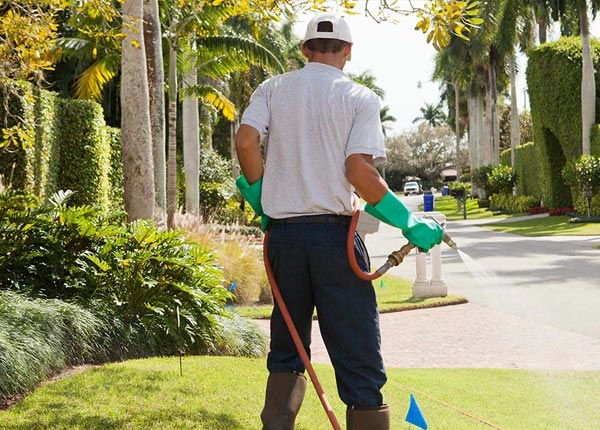 About East Windsor Hill CT Pest Control Pros